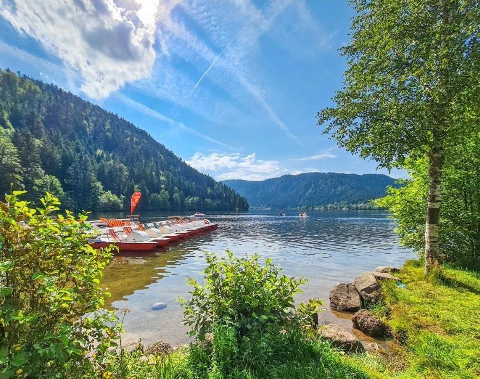Gite Spa "La Foret Argentee" Proche Gerardmer Laveline-du-Houx Luaran gambar