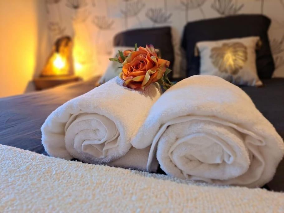Gite Spa "La Foret Argentee" Proche Gerardmer Laveline-du-Houx Luaran gambar